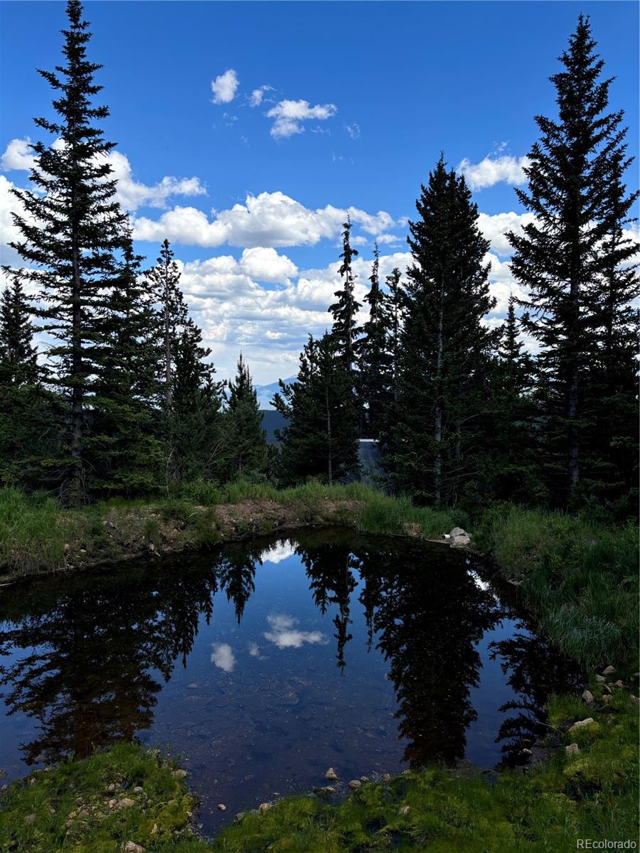 Hilltop Road Idaho Springs CO 80452