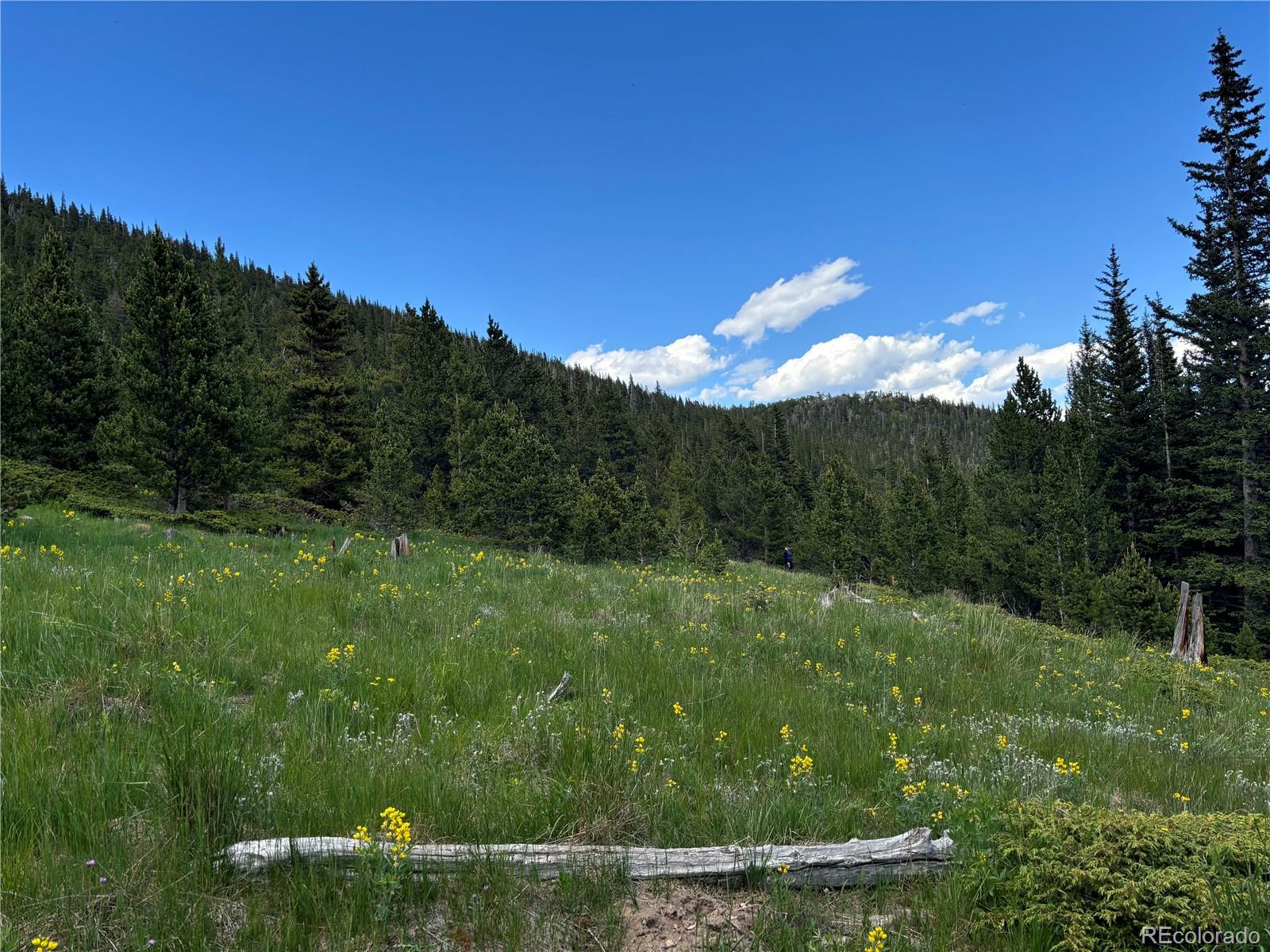Hilltop Road Idaho Springs CO 80452