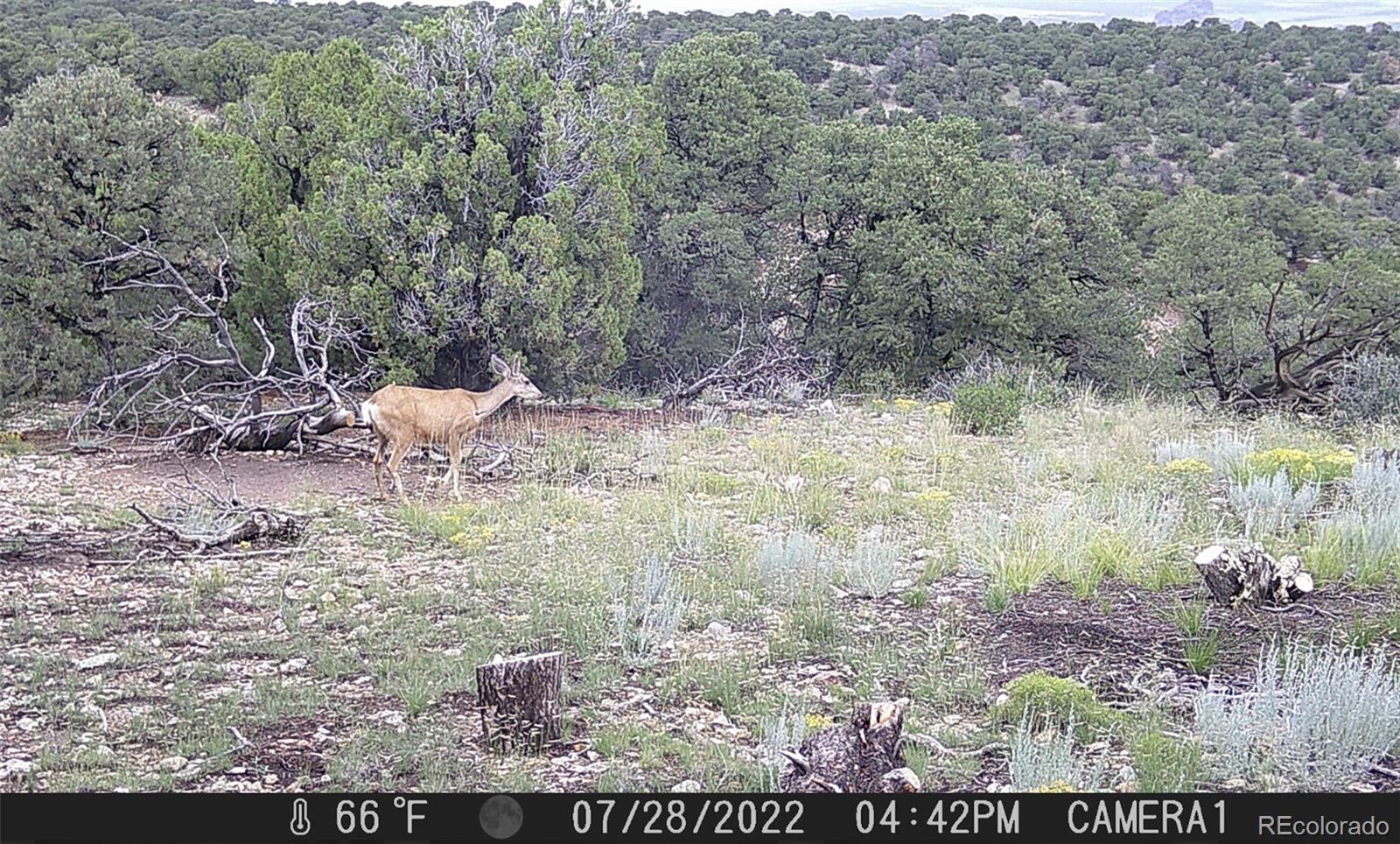 3 Colorado Land & Grazing - Unit Cc-1 Gardner CO 81040