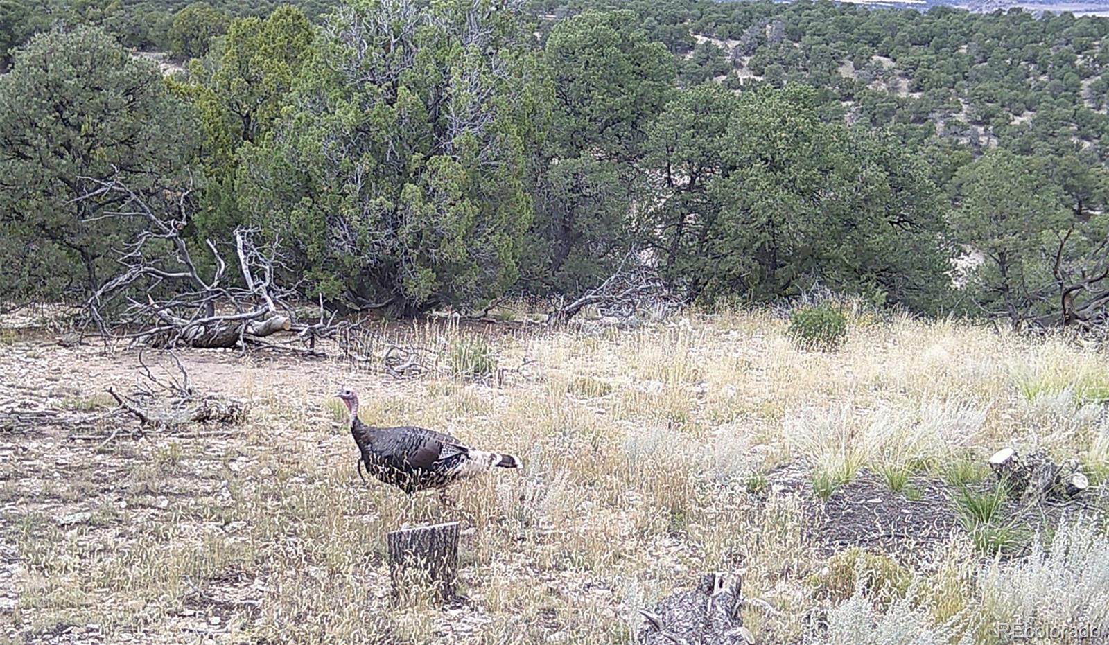 3 Colorado Land & Grazing - Unit Cc-1 Gardner CO 81040