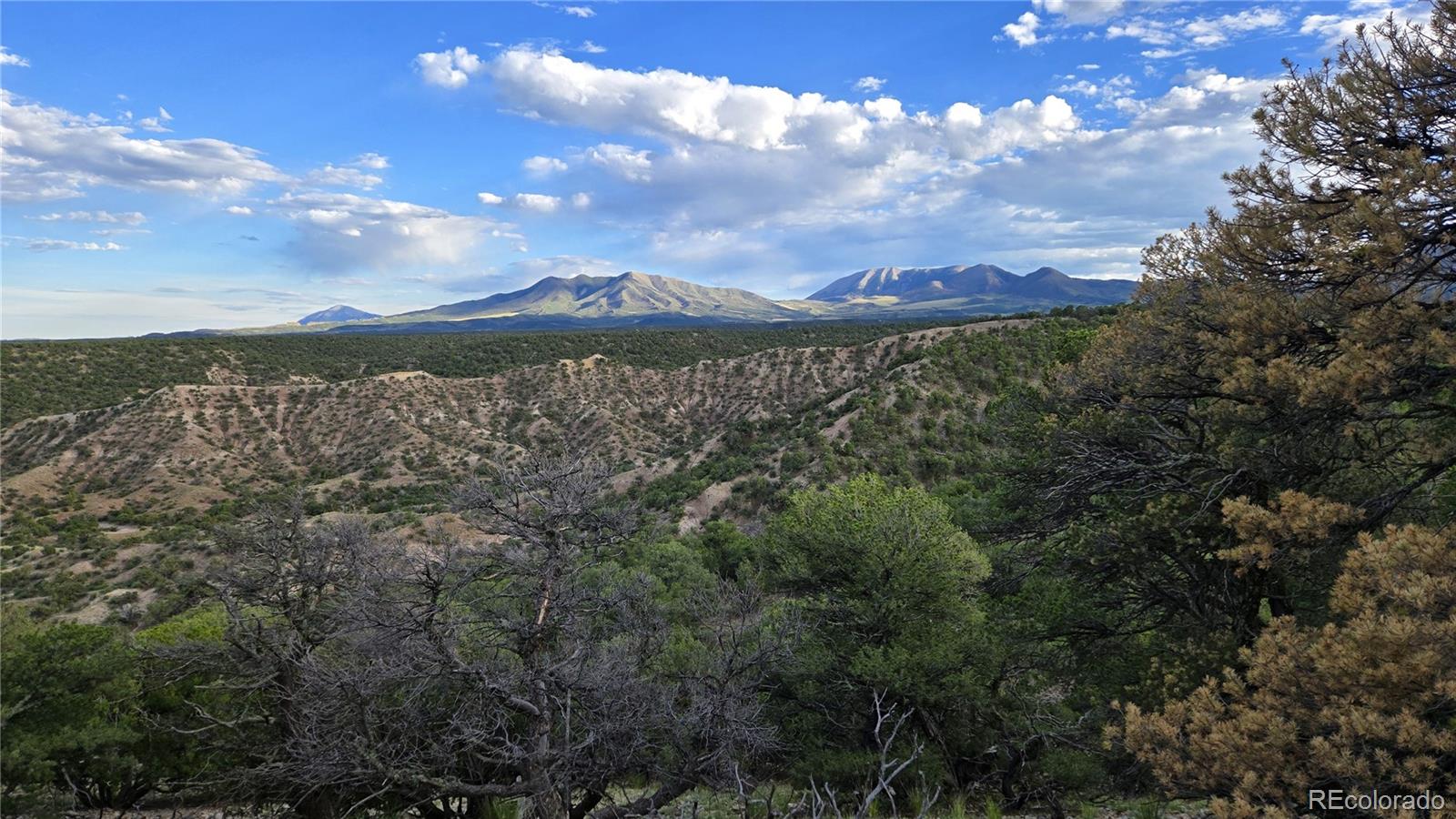3 Colorado Land & Grazing - Unit Cc-1 Gardner CO 81040