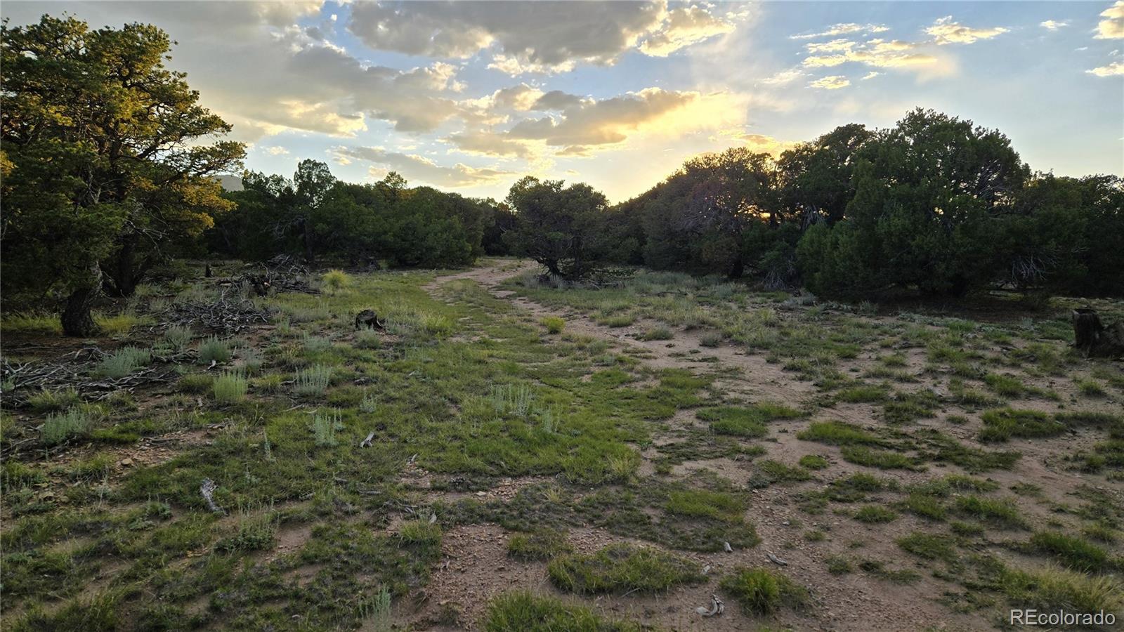 3 Colorado Land & Grazing - Unit Cc-1 Gardner CO 81040