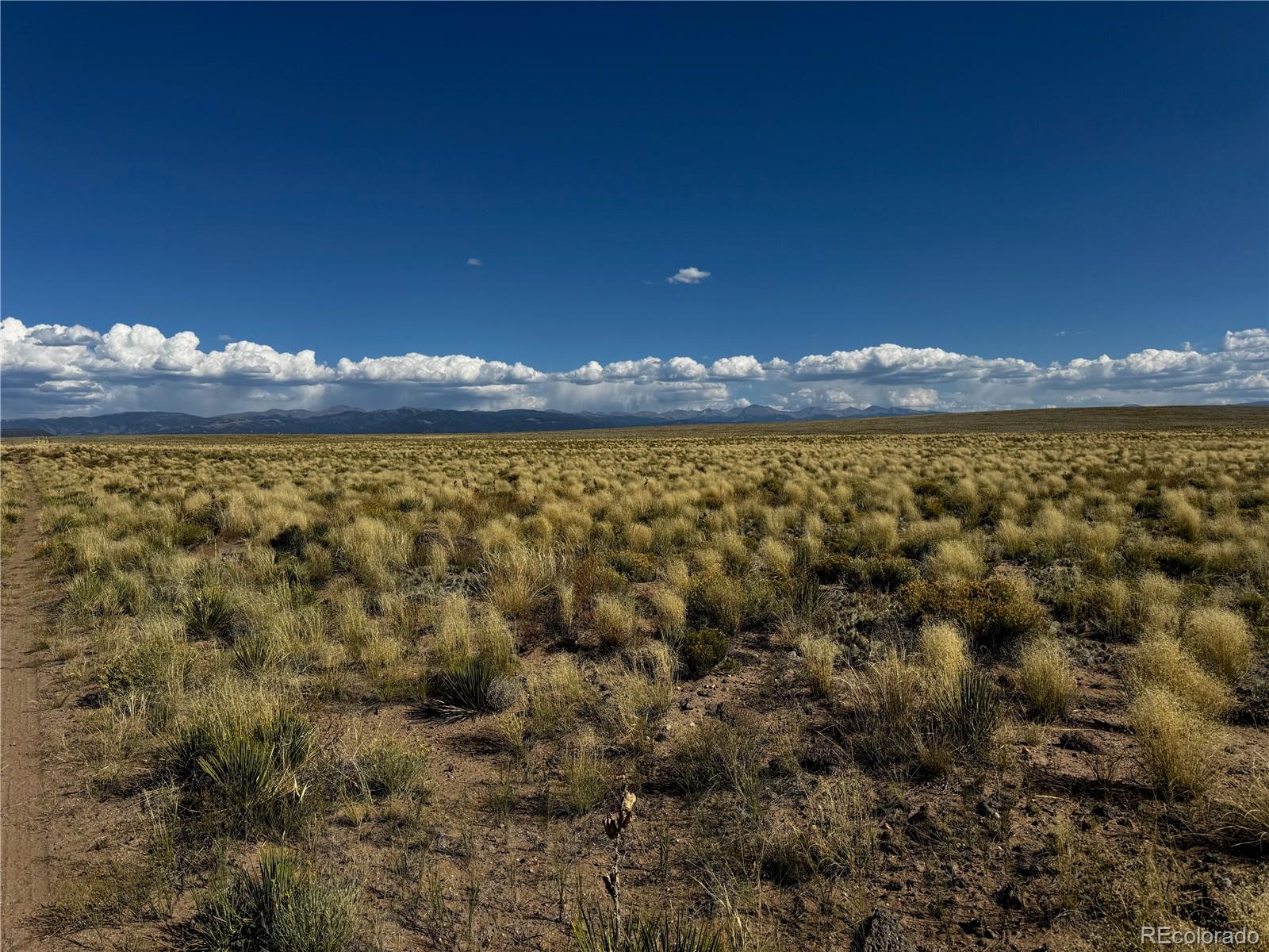 Lot 7 Little Beaver Road San Luis CO 81152