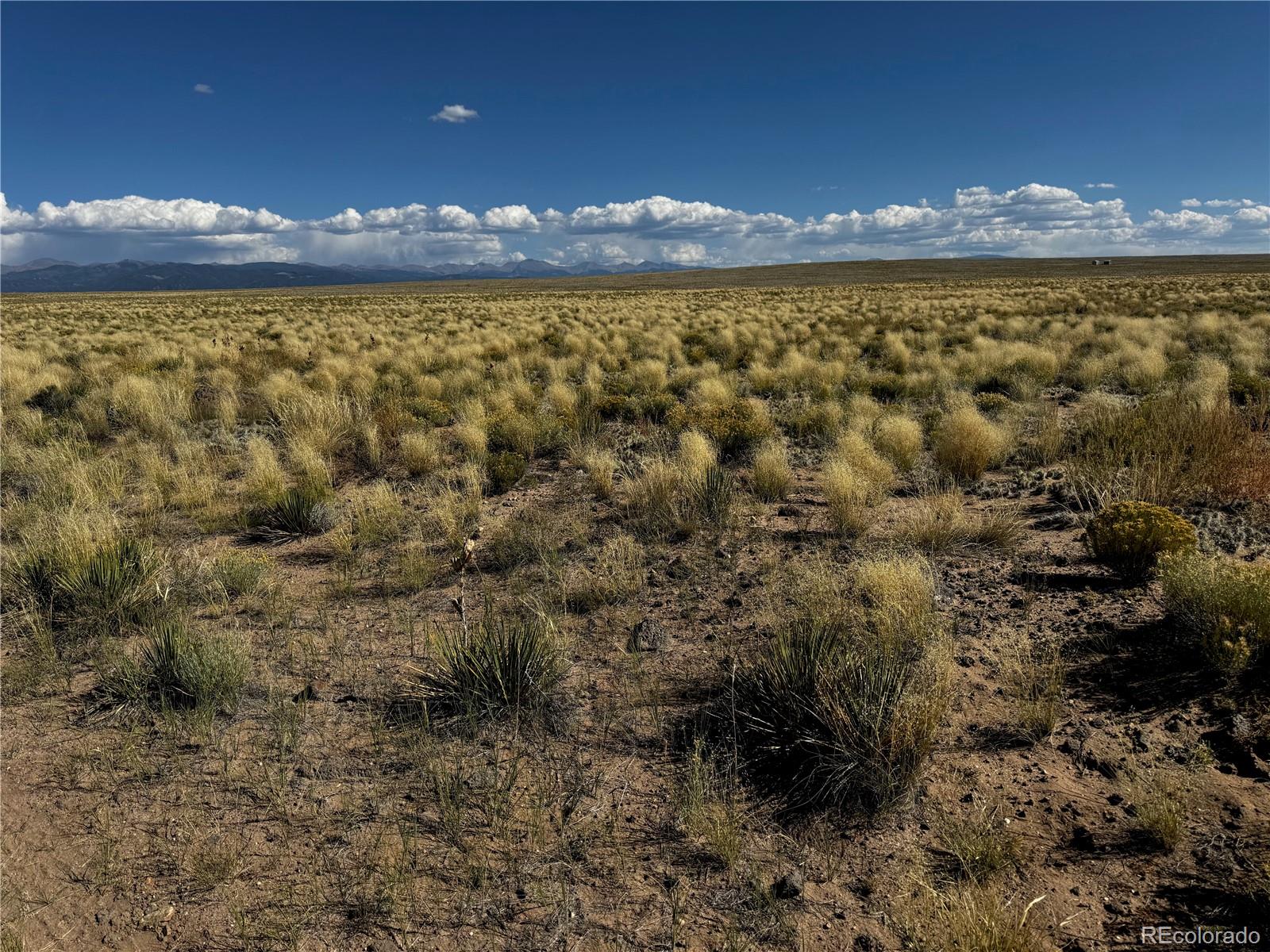 Lot 7 Little Beaver Road San Luis CO 81152