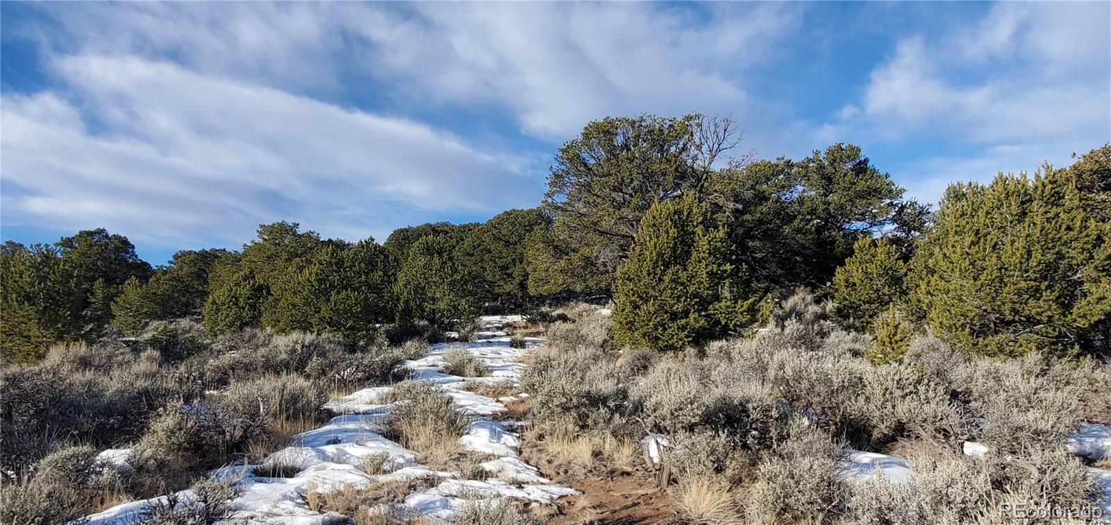 Lot 7265 Tiernan Road Fort Garland CO 81133