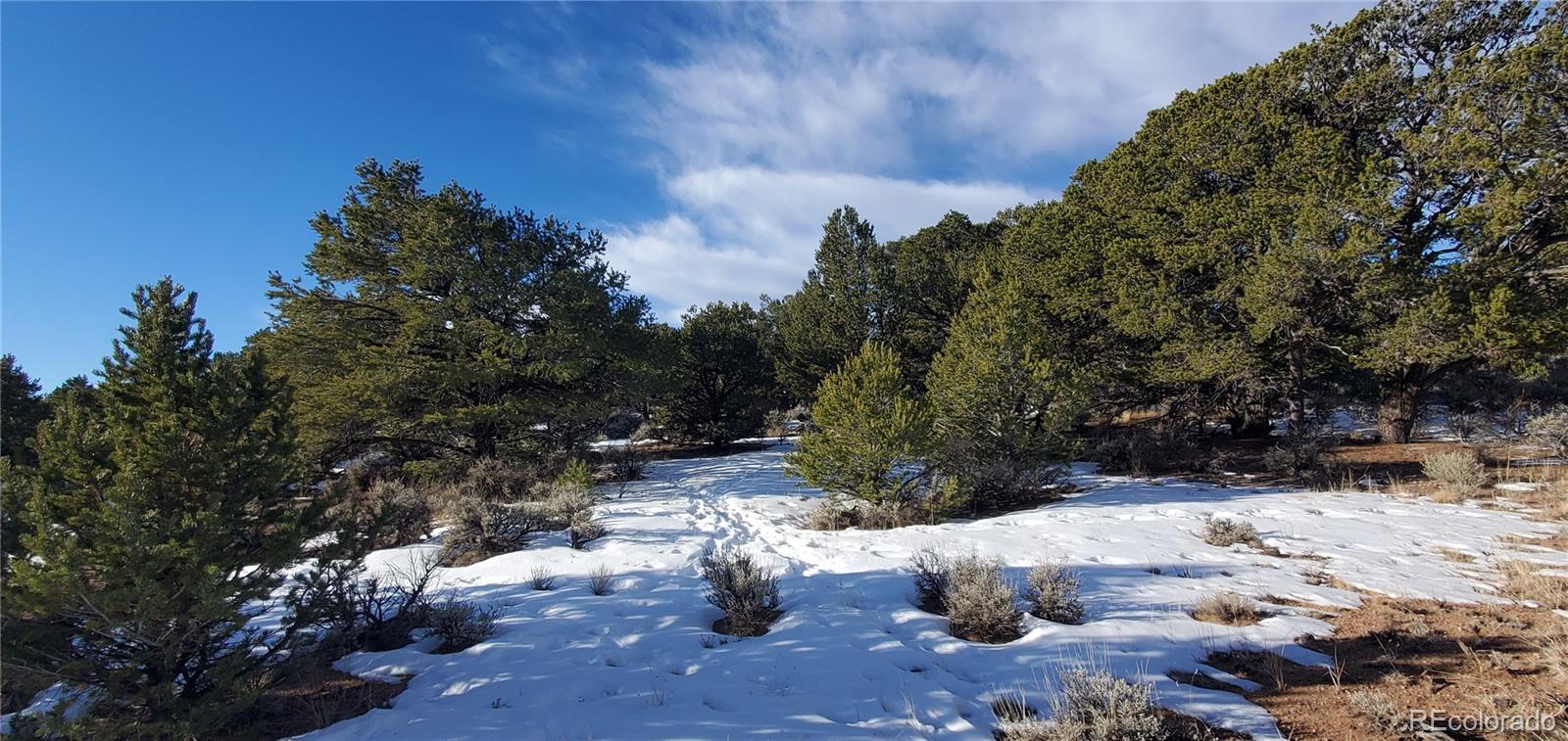 Lot 7265 Tiernan Road Fort Garland CO 81133