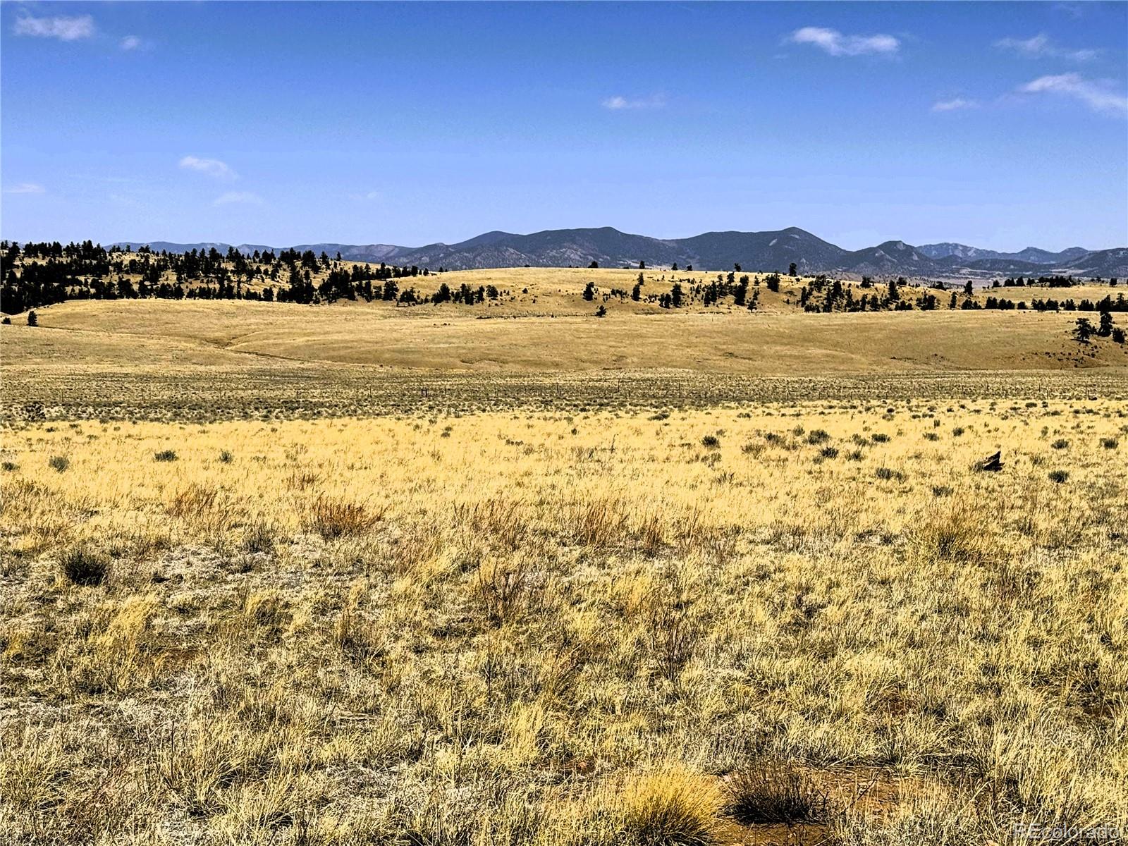 Lot 77 Black Bear Road Hartsel CO 80449