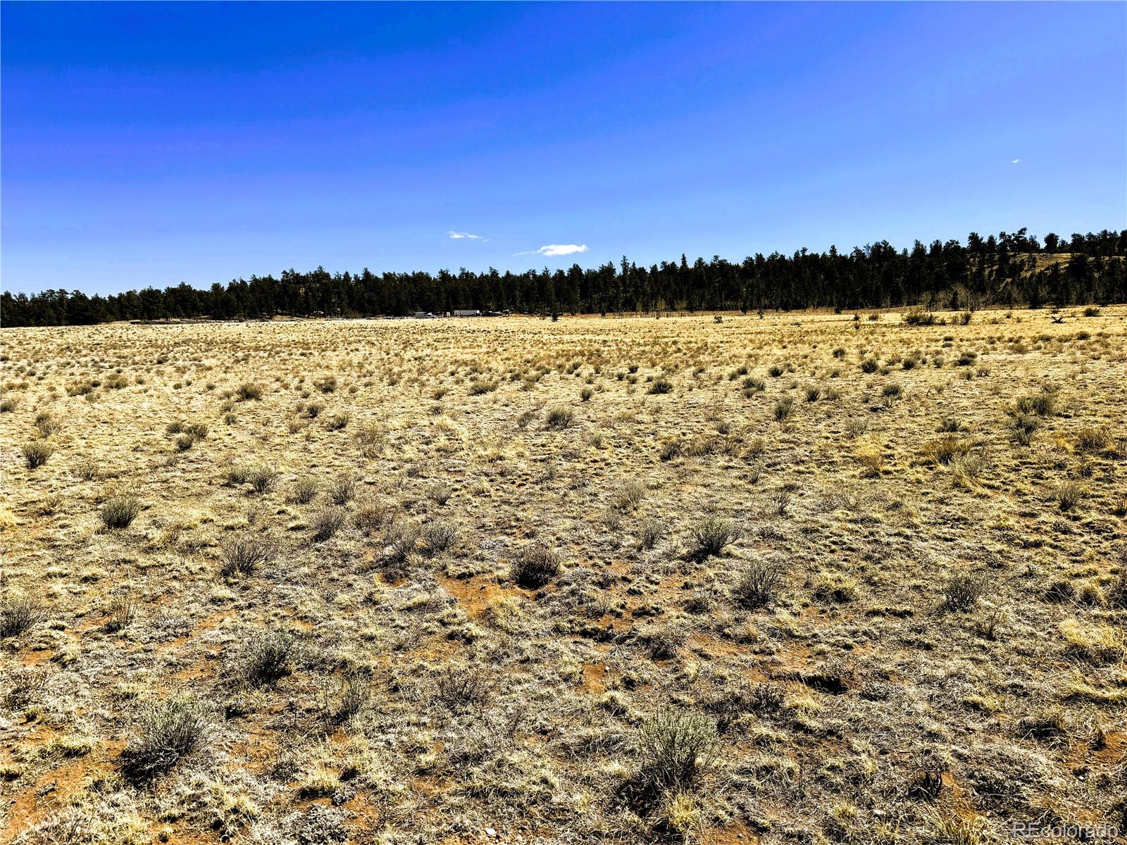 Lot 77 Black Bear Road Hartsel CO 80449
