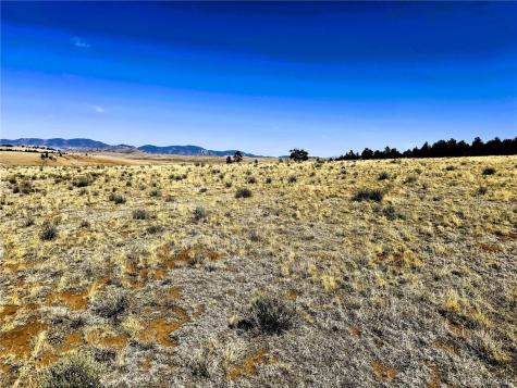 Lot 77 Black Bear Road Hartsel CO 80449