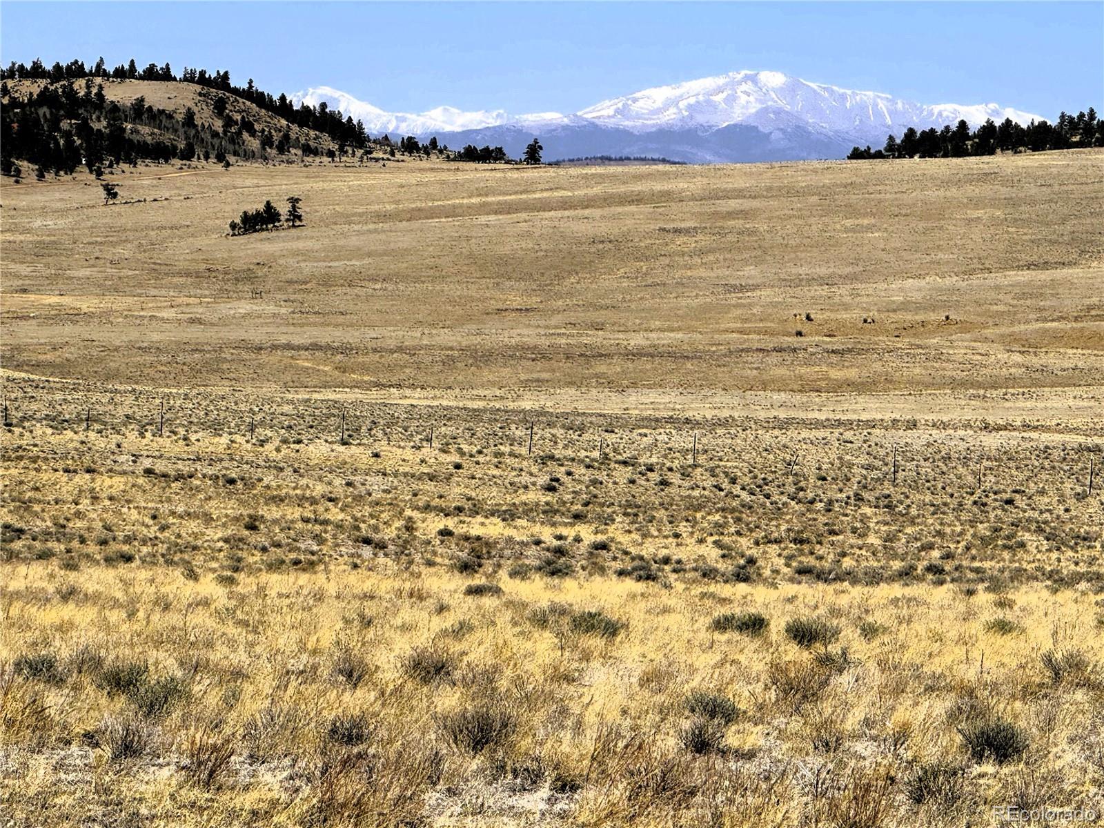 Lot 77 Black Bear Road Hartsel CO 80449