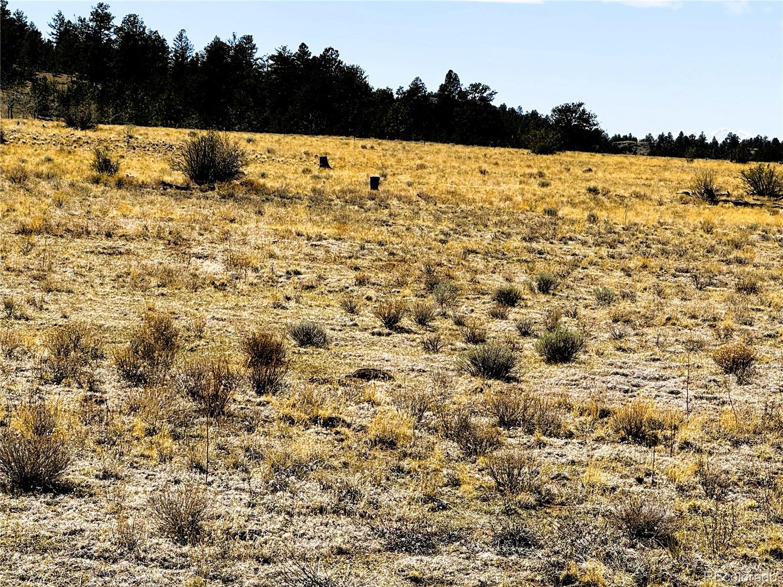 Lot 77 Black Bear Road Hartsel CO 80449