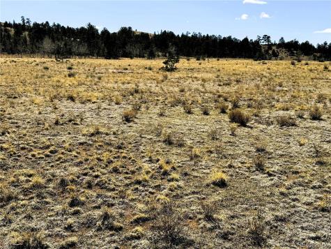 Lot 77 Black Bear Road Hartsel CO 80449