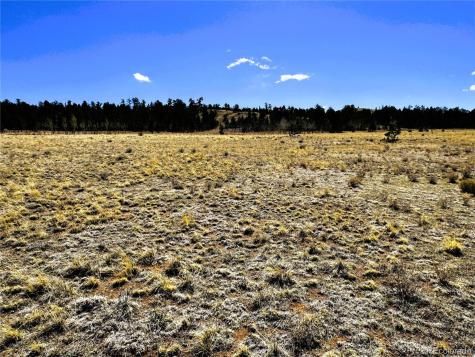 Lot 77 Black Bear Road Hartsel CO 80449