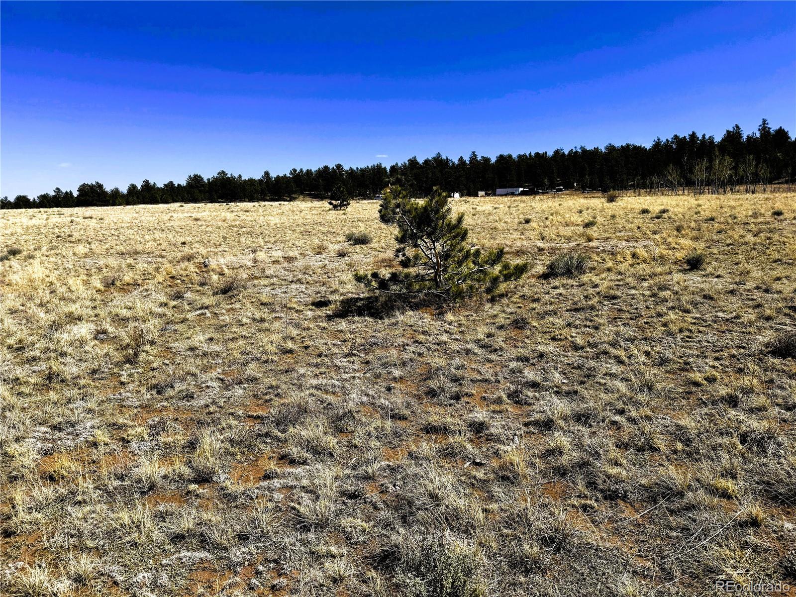 Lot 77 Black Bear Road Hartsel CO 80449