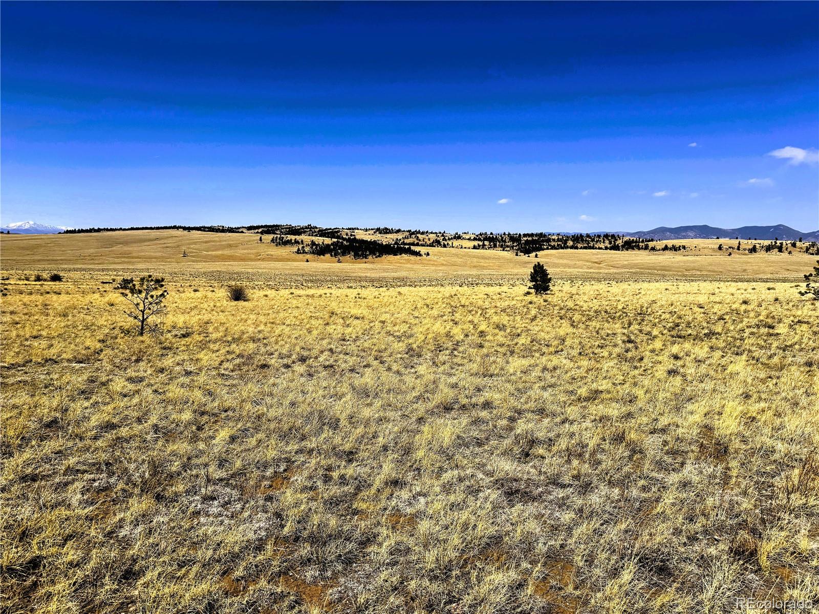 Lot 77 Black Bear Road Hartsel CO 80449