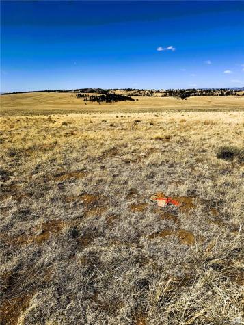 Lot 77 Black Bear Road Hartsel CO 80449