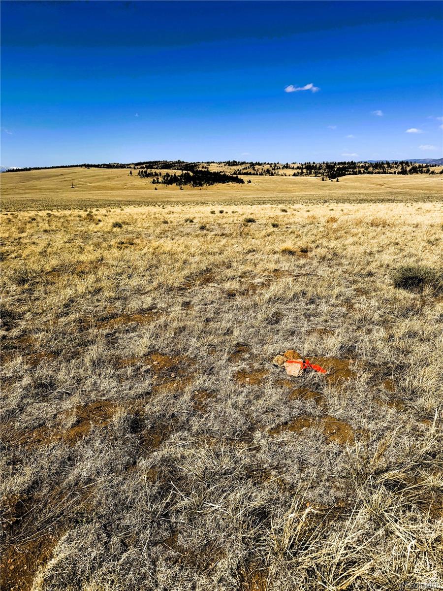 Lot 77 Black Bear Road Hartsel CO 80449