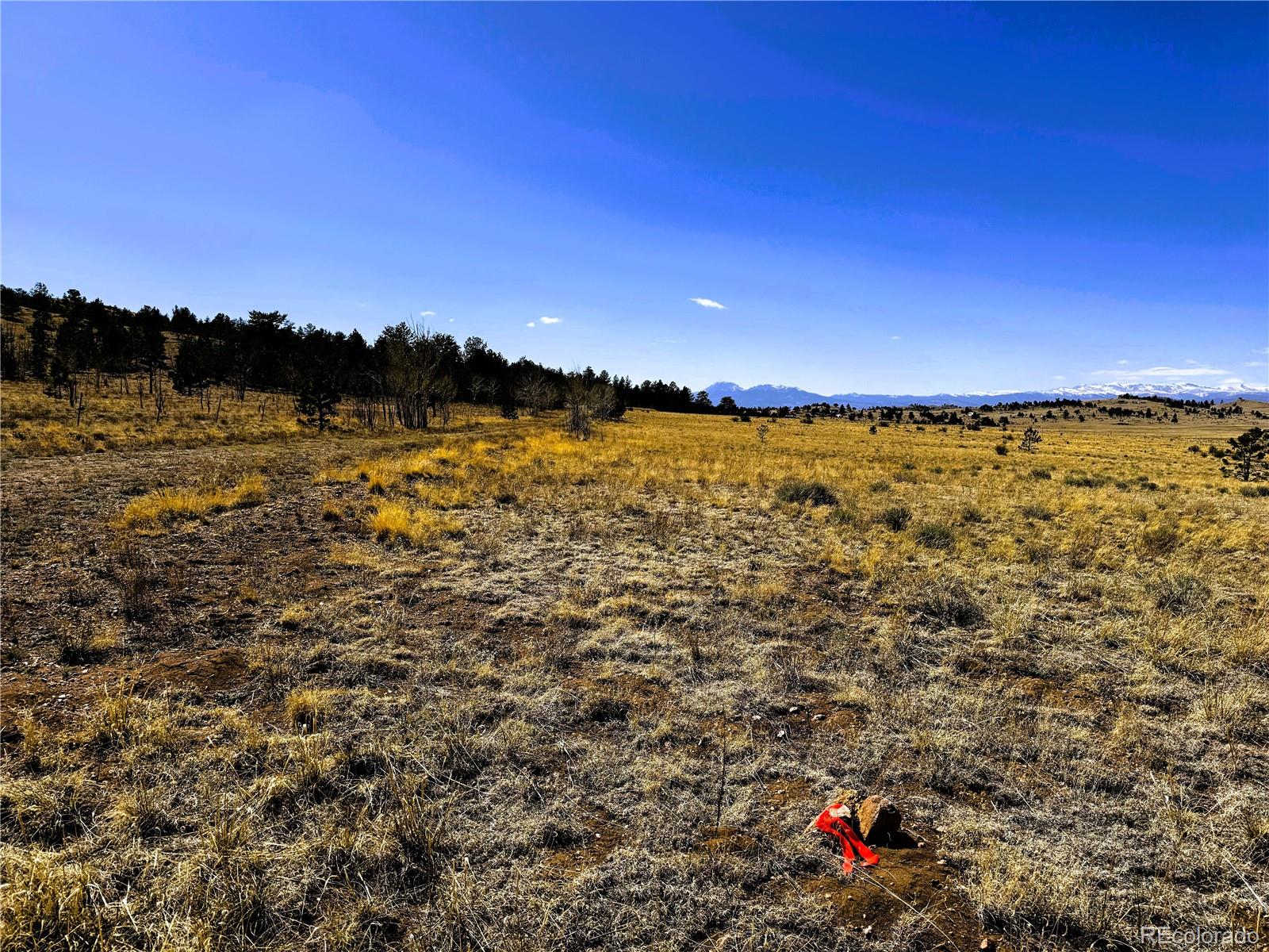 Lot 77 Black Bear Road Hartsel CO 80449