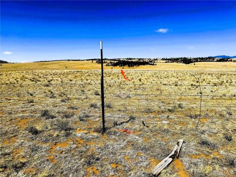 Lot 77 Black Bear Road Hartsel CO 80449