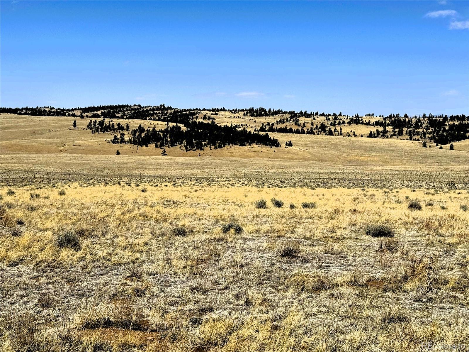 Lot 77 Black Bear Road Hartsel CO 80449