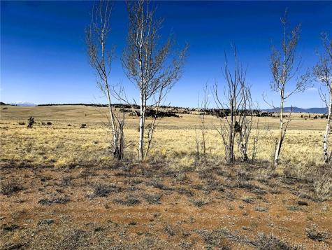 Lot 77 Black Bear Road Hartsel CO 80449