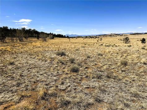 Lot 77 Black Bear Road Hartsel CO 80449