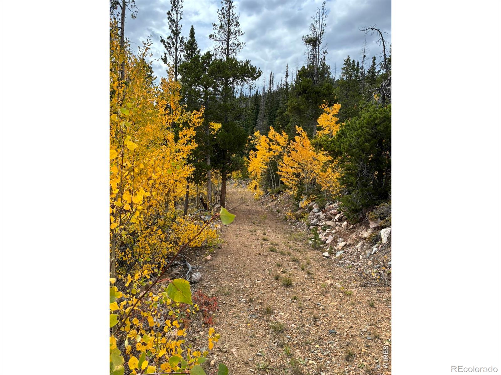 540 Elkridge Road Red Feather Lakes CO 80545