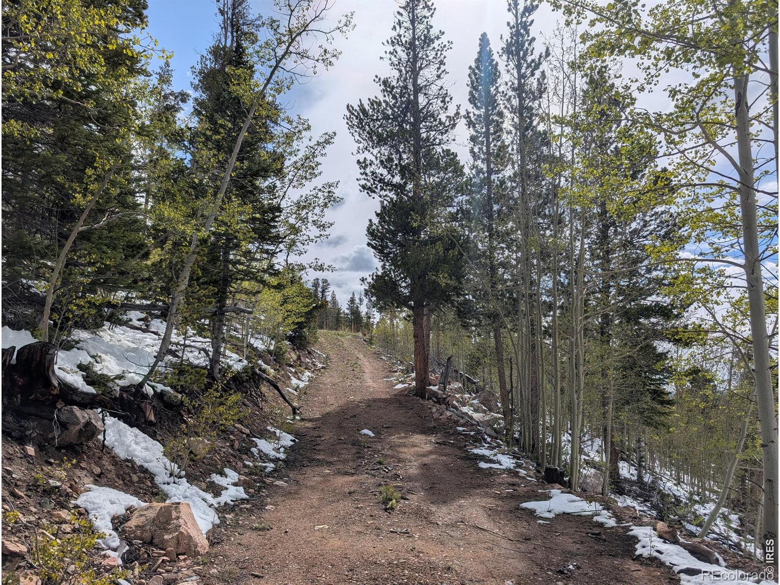 540 Elkridge Road Red Feather Lakes CO 80545