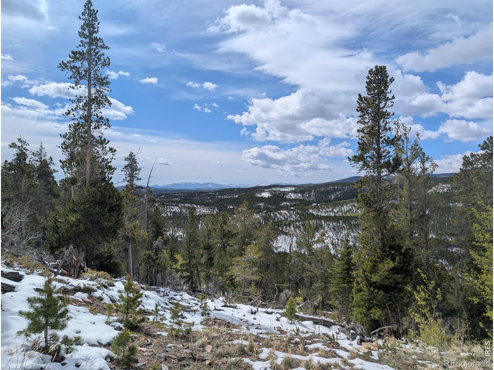 540 Elkridge Road Red Feather Lakes CO 80545