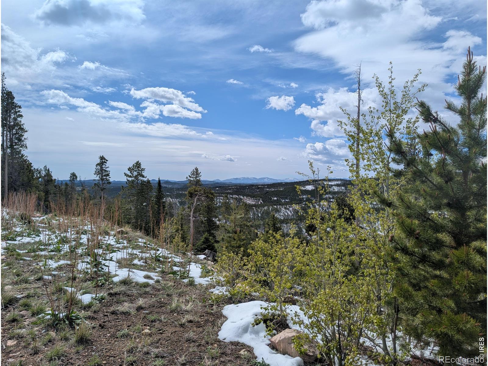 540 Elkridge Road Red Feather Lakes CO 80545