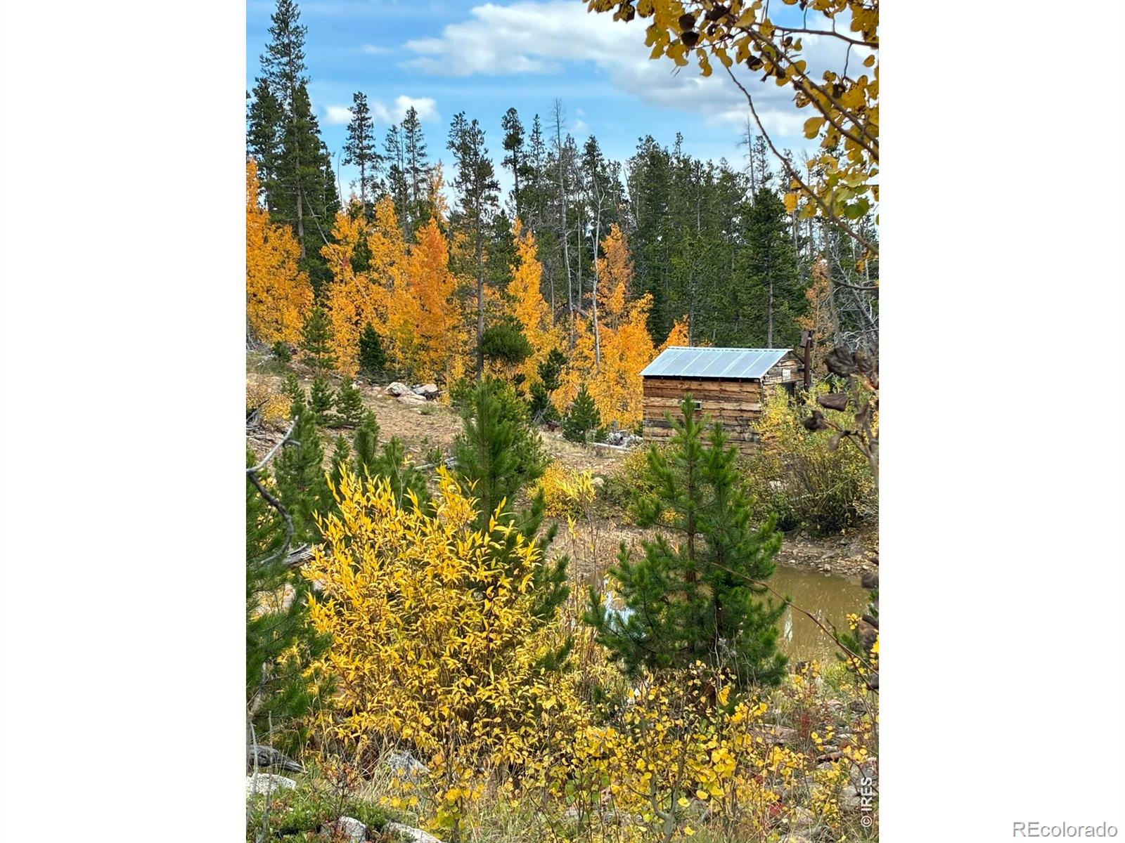 540 Elkridge Road Red Feather Lakes CO 80545