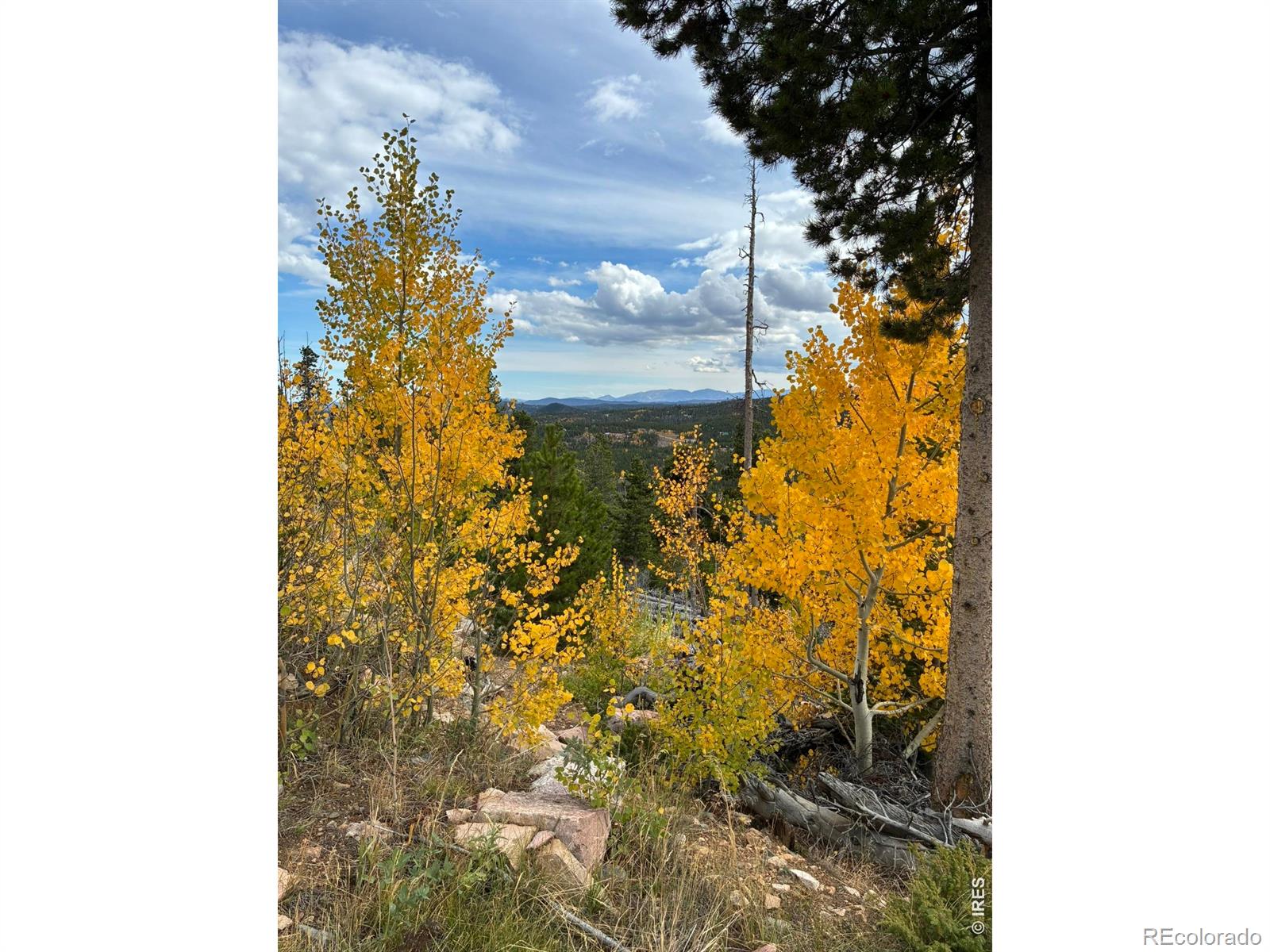 540 Elkridge Road Red Feather Lakes CO 80545