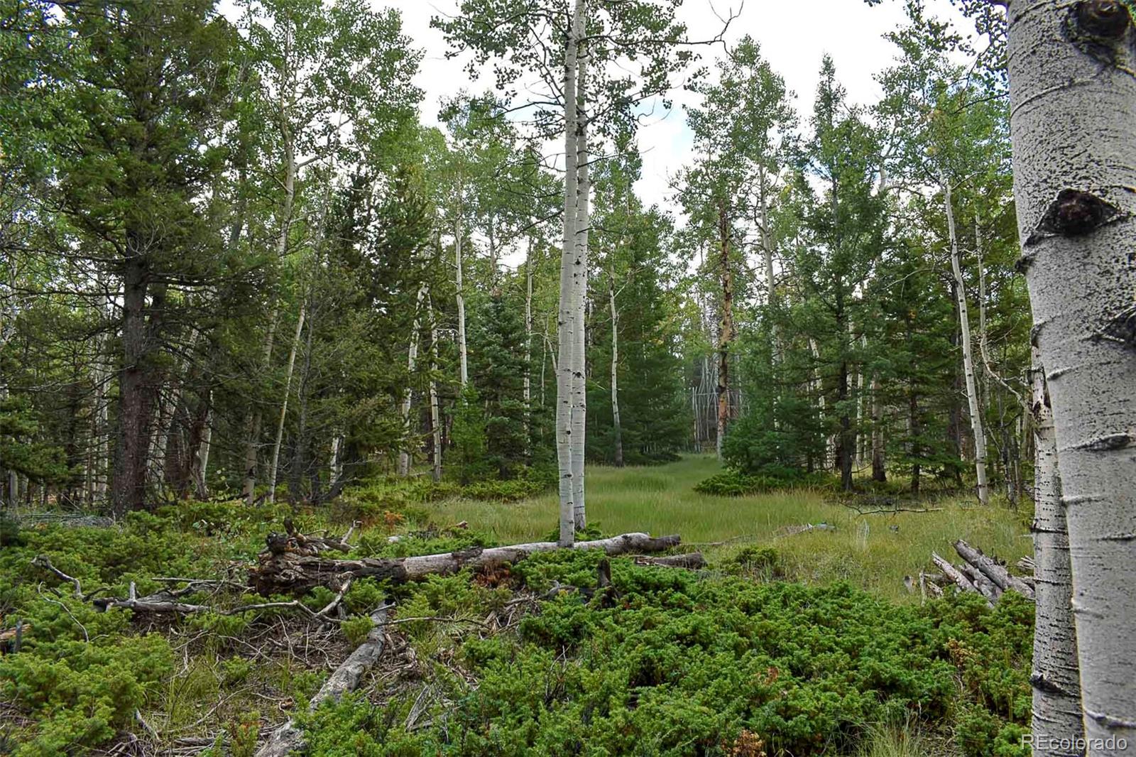 205 Timberline Drive Guffey CO 80820
