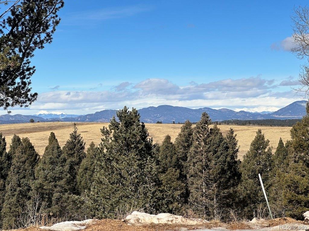 4600 Elk Valley Road Divide CO 80814