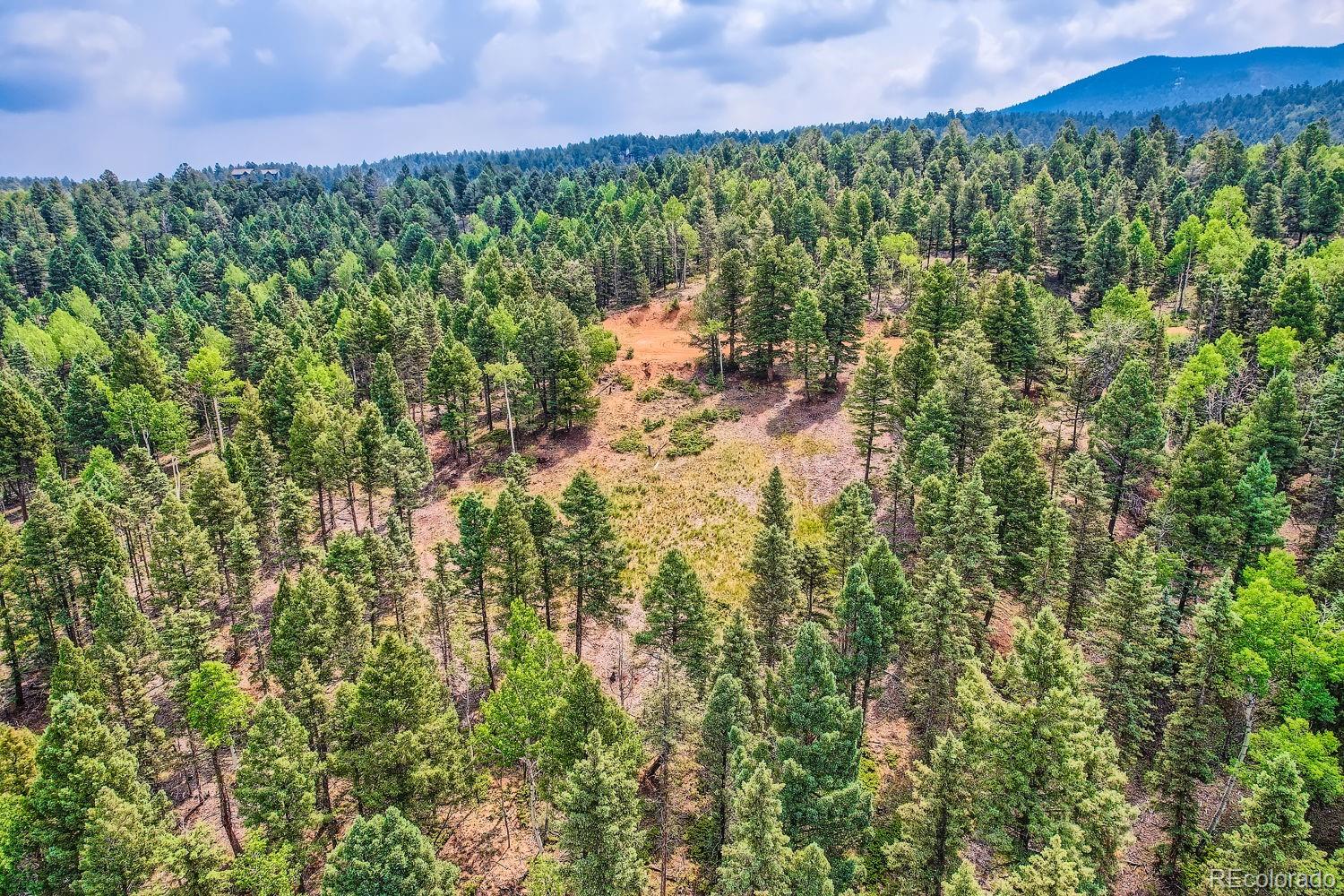 4600 Elk Valley Road Divide CO 80814