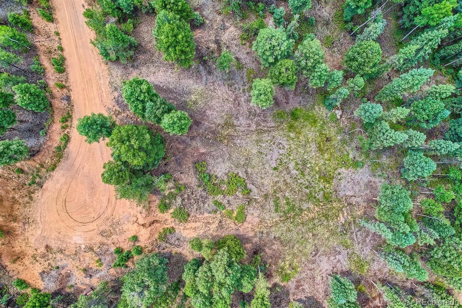 4600 Elk Valley Road Divide CO 80814