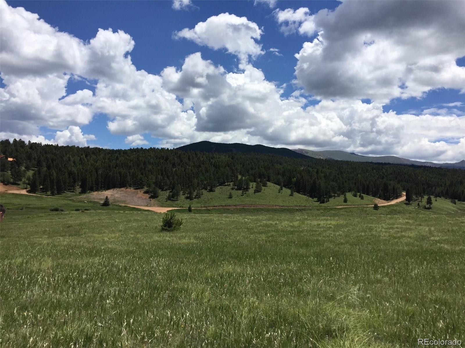 4600 Elk Valley Road Divide CO 80814