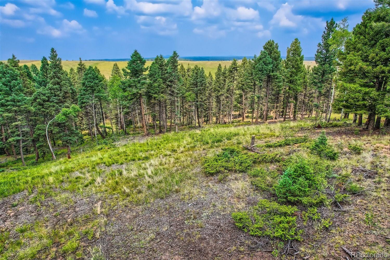 4600 Elk Valley Road Divide CO 80814