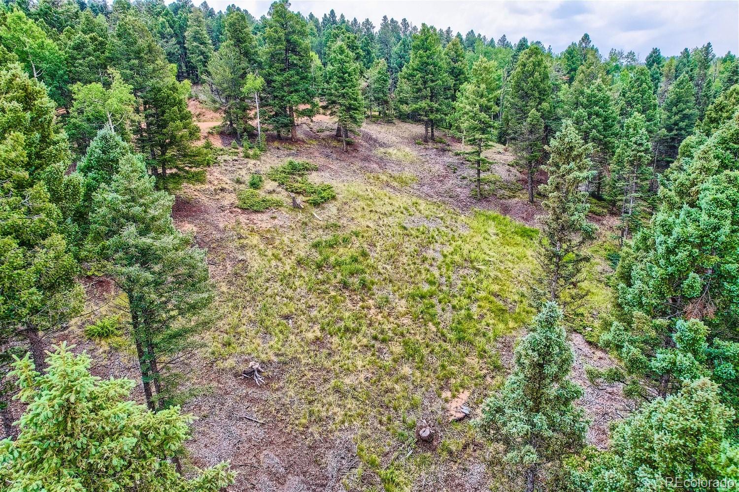 4600 Elk Valley Road Divide CO 80814