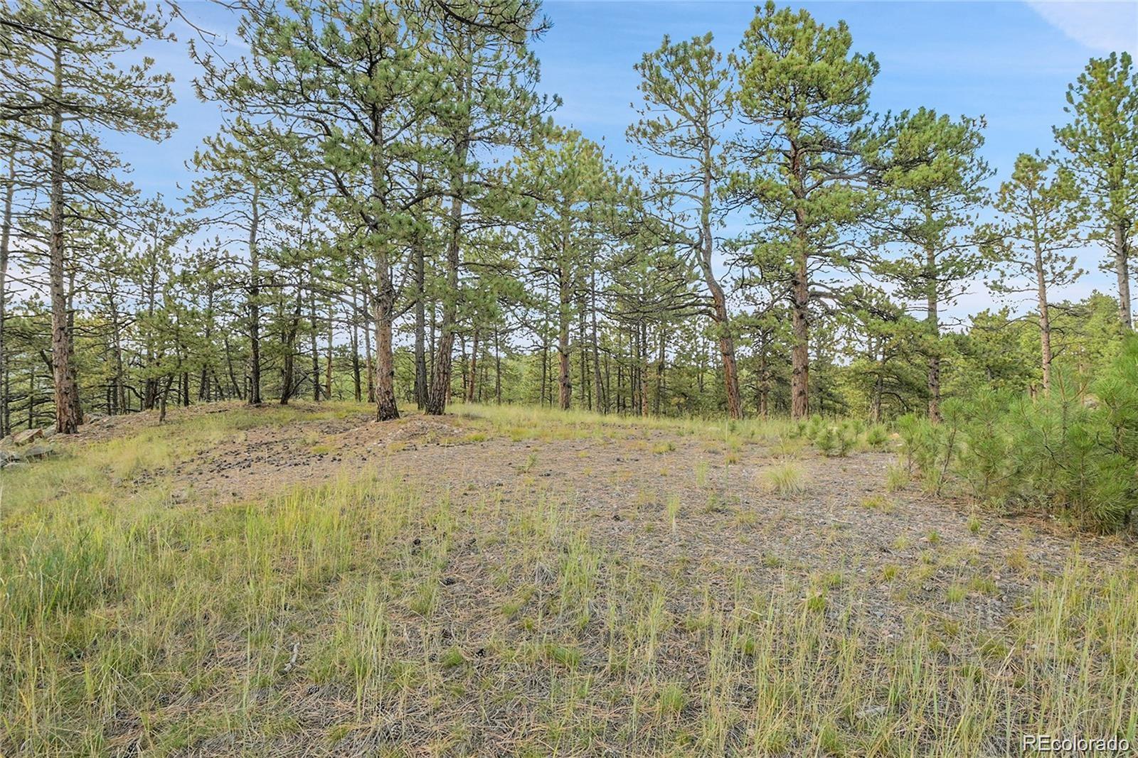 2317 Wieler Road Evergreen CO 80439