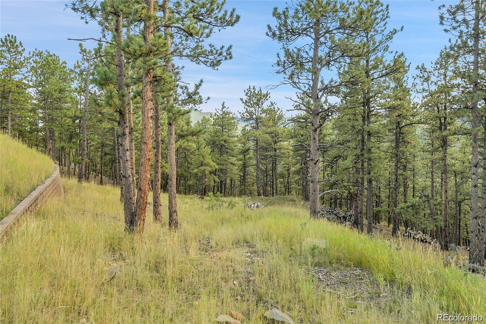 2317 Wieler Road Evergreen CO 80439
