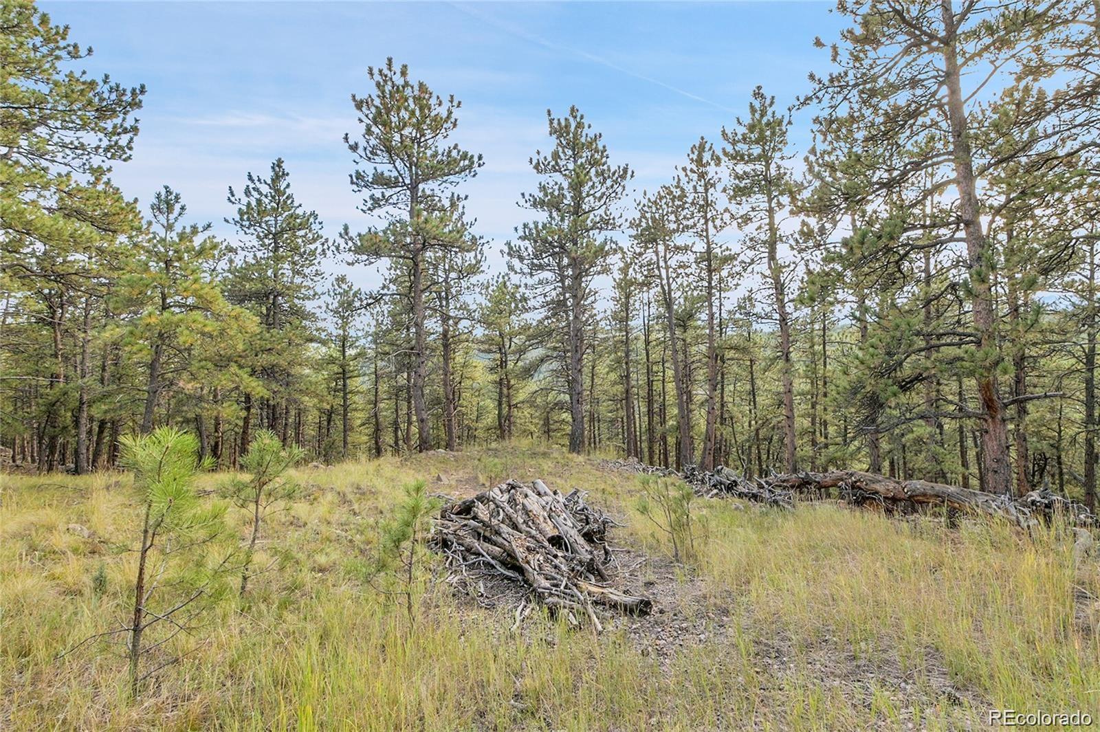 2317 Wieler Road Evergreen CO 80439
