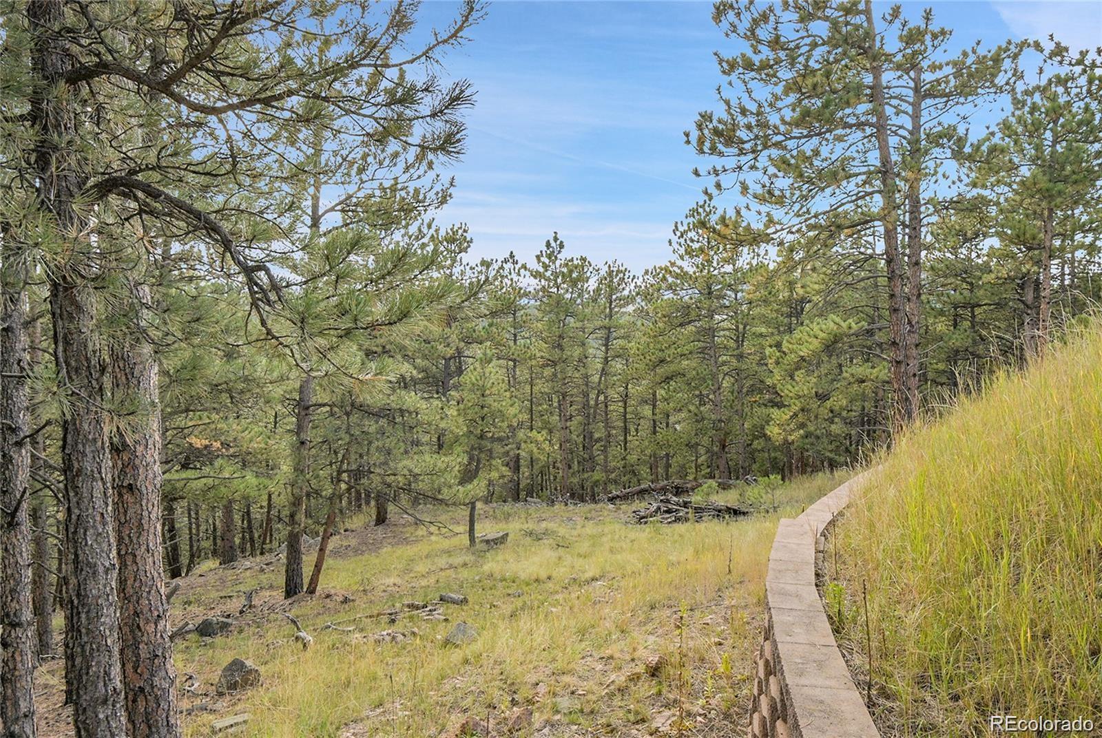 2317 Wieler Road Evergreen CO 80439