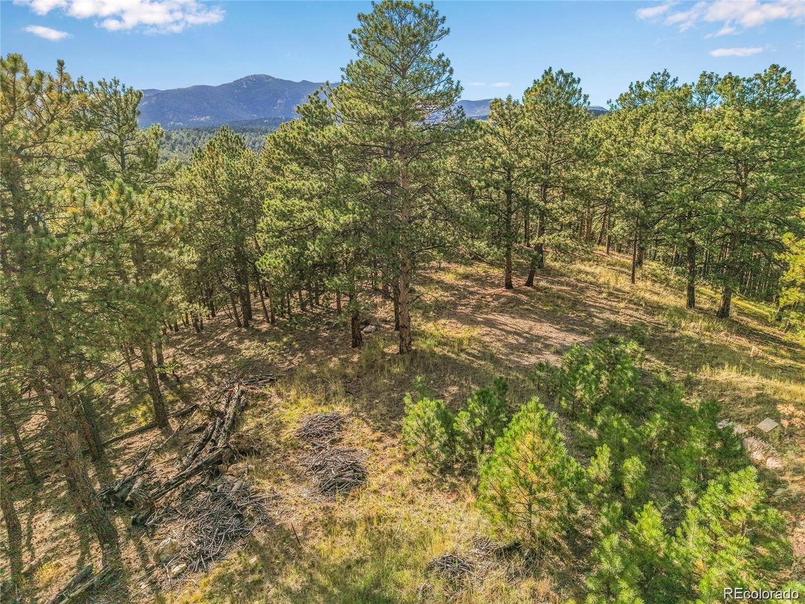 2317 Wieler Road Evergreen CO 80439