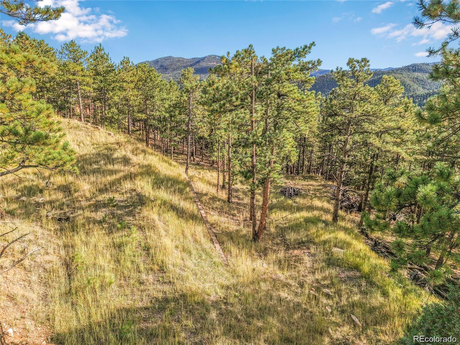 2317 Wieler Road Evergreen CO 80439