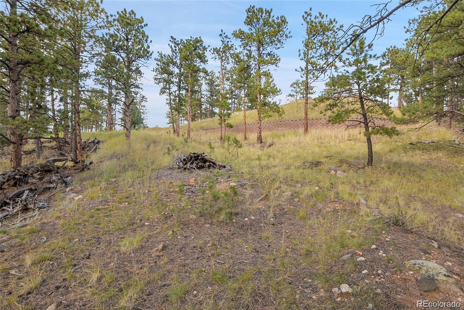 2317 Wieler Road Evergreen CO 80439