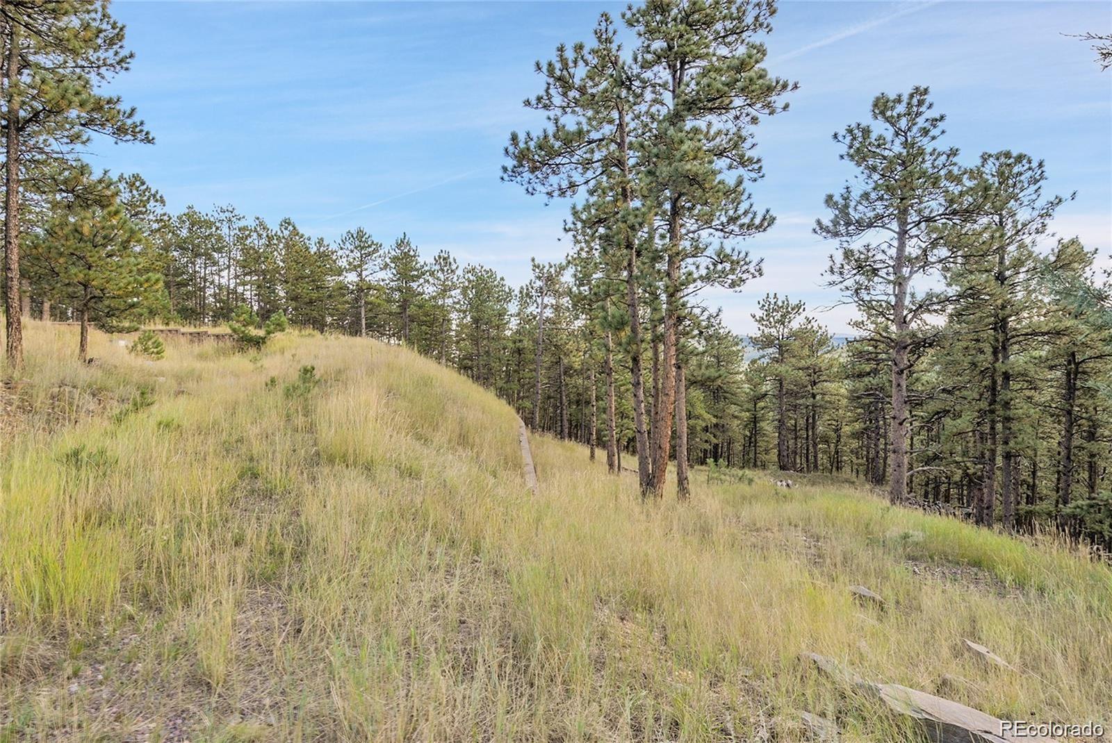 2317 Wieler Road Evergreen CO 80439