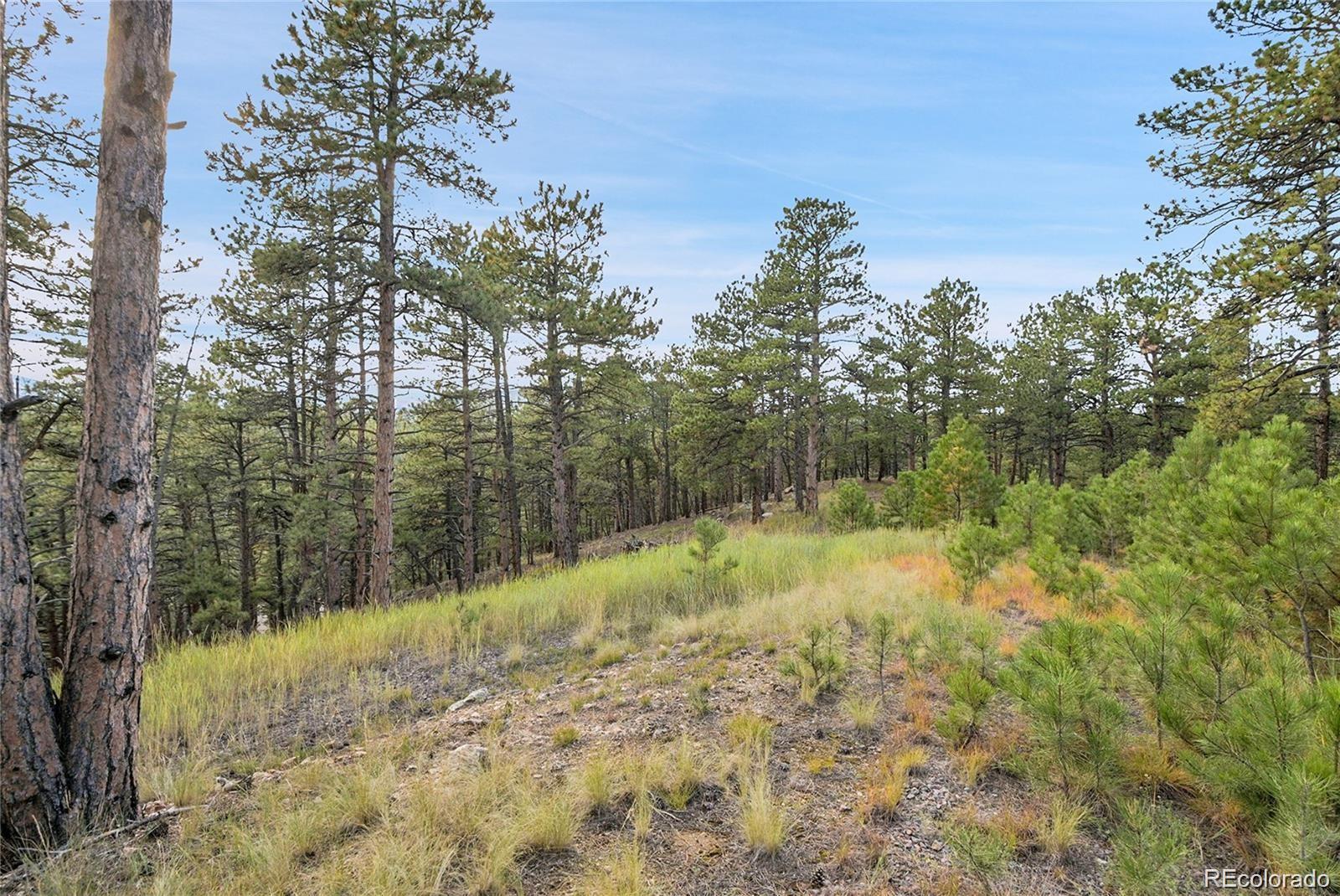 2317 Wieler Road Evergreen CO 80439