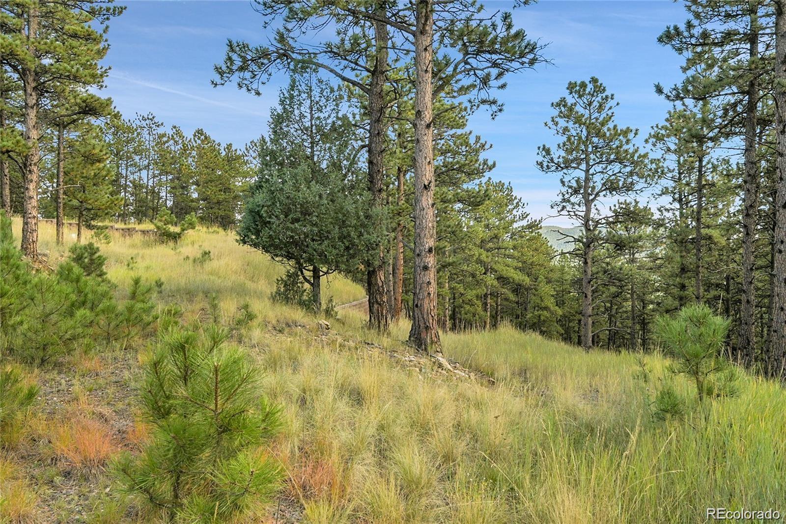 2317 Wieler Road Evergreen CO 80439