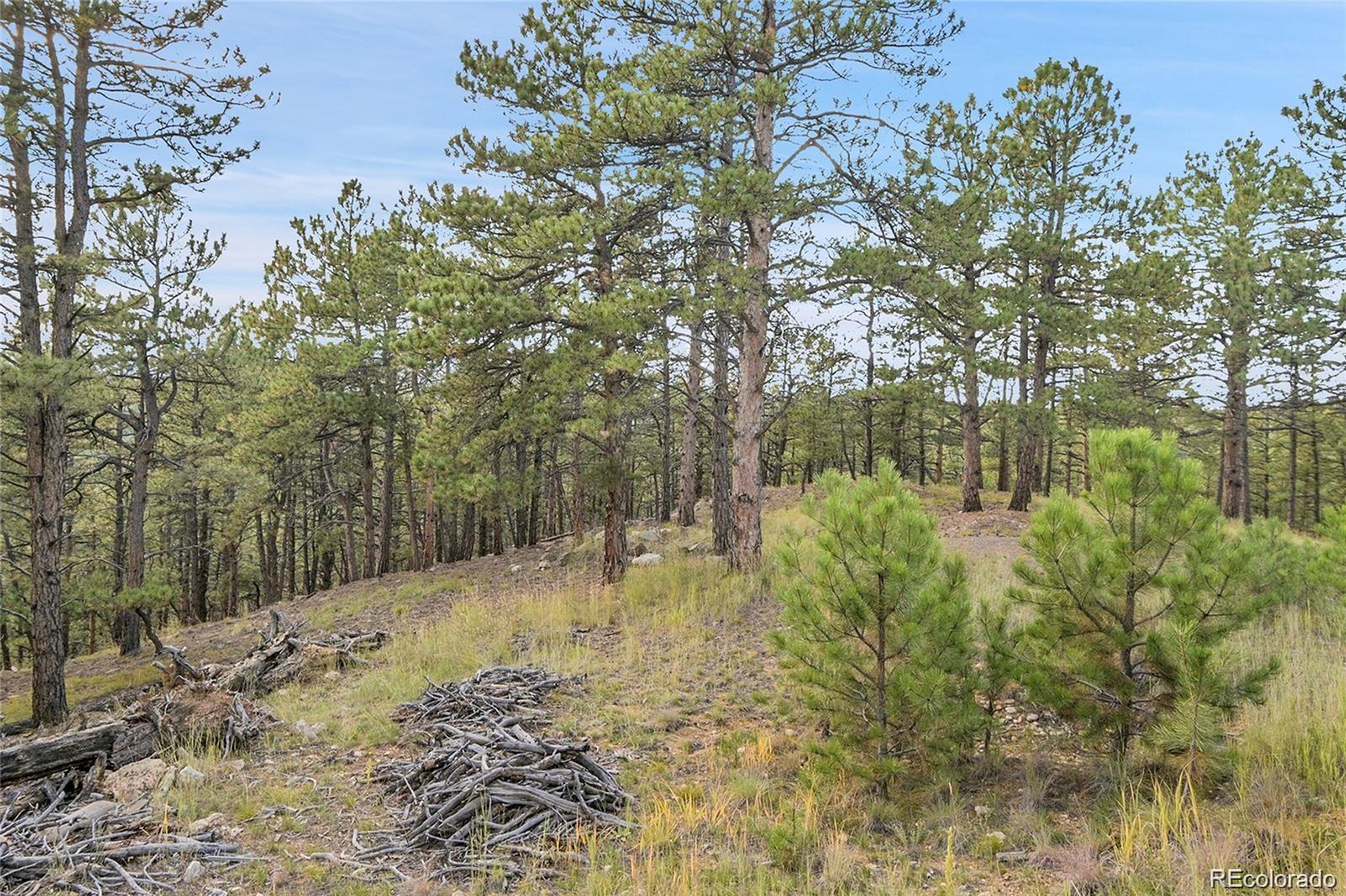 2317 Wieler Road Evergreen CO 80439